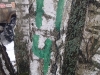 09042011108