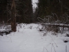 P2060053