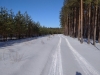 IMG_20200208_125903_1