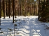 IMG_20200208_133445