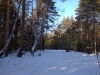 IMG_20200208_141435_1