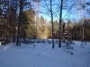 IMG_20200208_141506_1