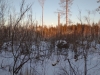 IMG_20200208_164953_1