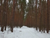 IMG_20200209_151046