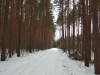 IMG_20200209_151053_1