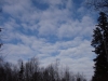 P2040409